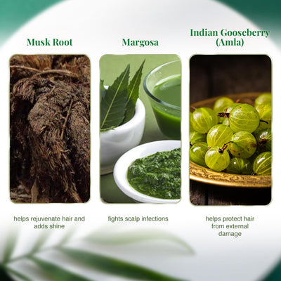 VLCC Natural & Herbal Henna (120 gm)
