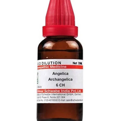 Dr. Willmar Schwabe India Angelica Archangelica Dilution